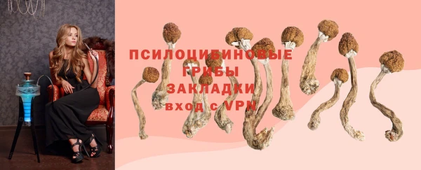 стаф Беломорск