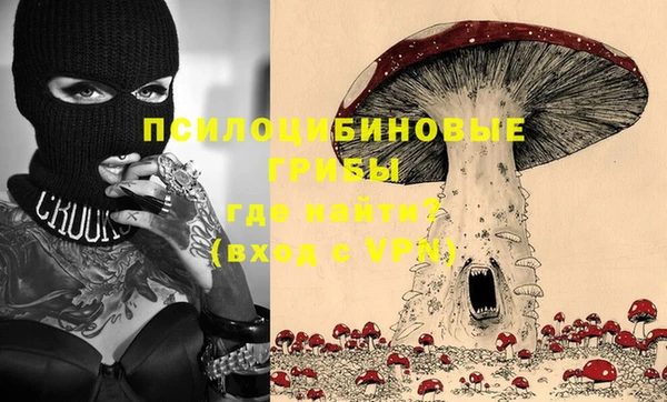 стаф Беломорск